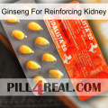 Ginseng For Reinforcing Kidney new01